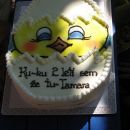 torta za Tamarin rojstni dan