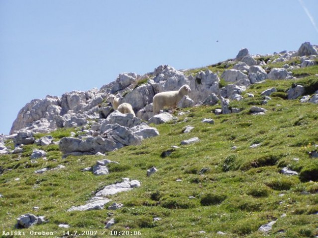 Kalški greben 14-07-2007 - foto