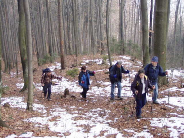 Črni vrh - Javornik 23.2.2008 - foto