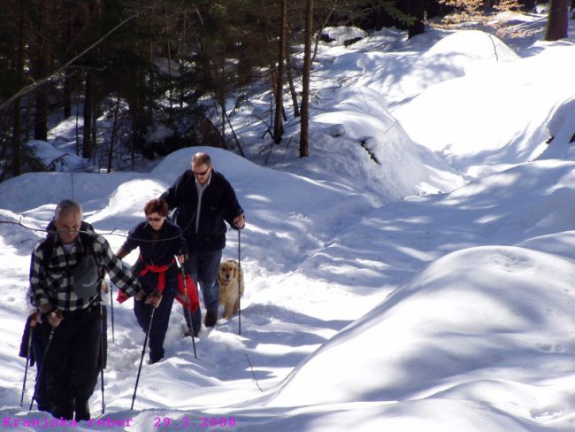 Kranjska reber 29.3.2008 - foto povečava