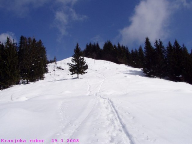 Kranjska reber 29.3.2008 - foto