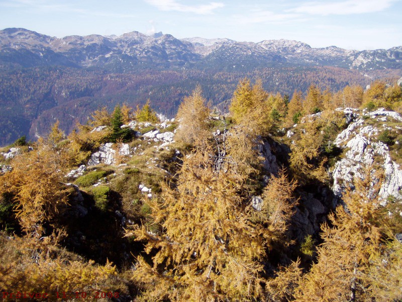 Pršivec 11.10.2008 - foto povečava