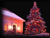 Božično novoletne zimske slike in animacije - foto