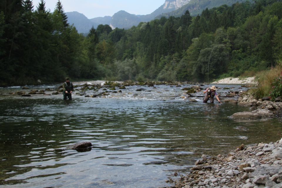 Bohinjka-2 - foto povečava