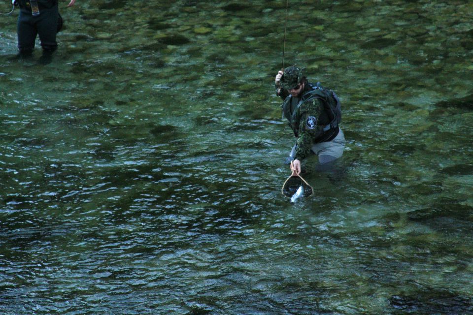 Bohinjka - foto povečava