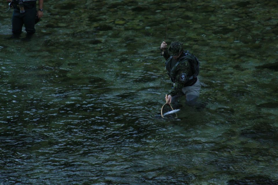 Bohinjka - foto povečava