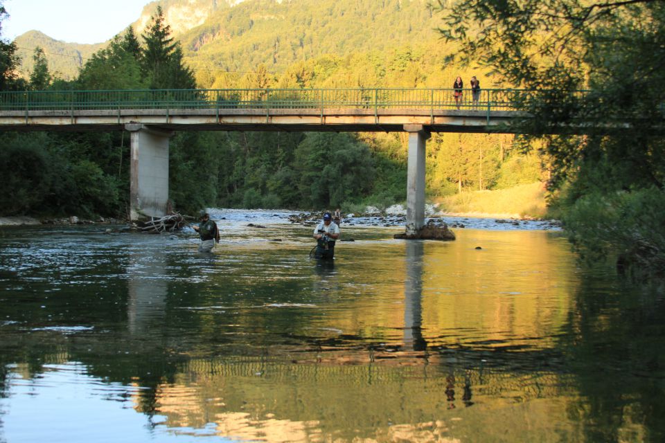 Bohinjka - foto povečava