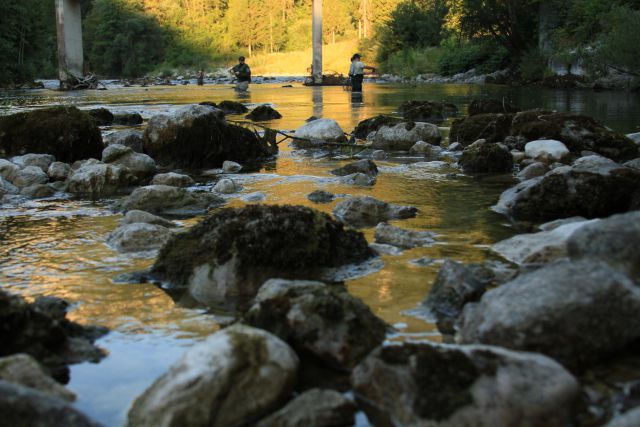 Bohinjka - foto