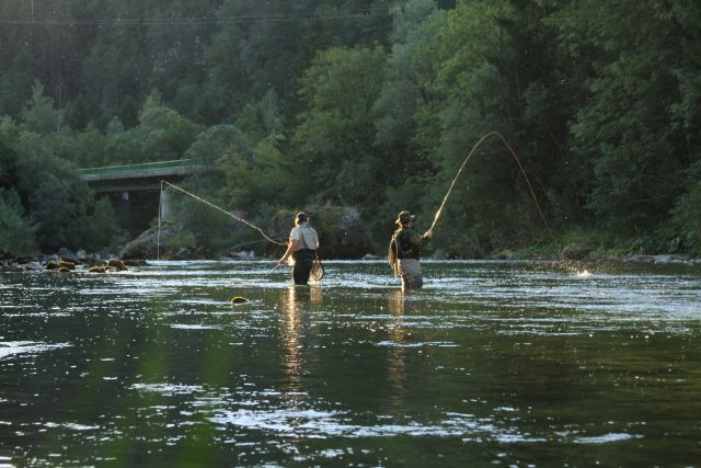 Bohinjka - foto