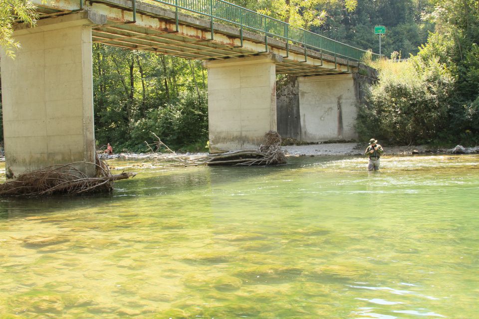 Bohinjka - foto povečava