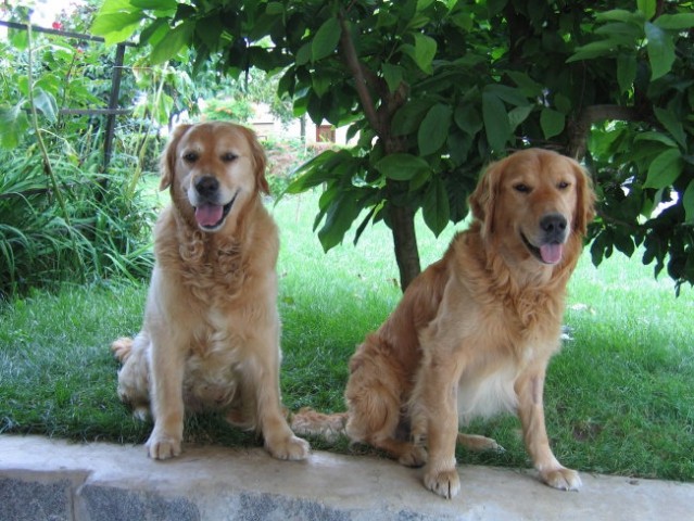 MIX & KHAN (junij 2006) - foto