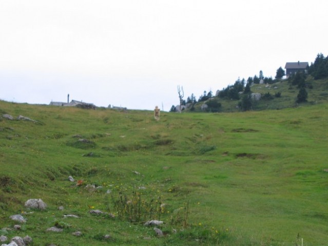 Izlet na Veliko planino - foto