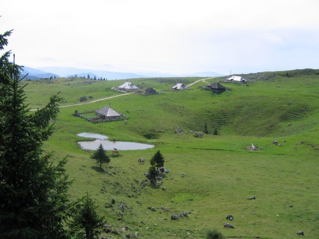 Izlet na Veliko planino - foto povečava