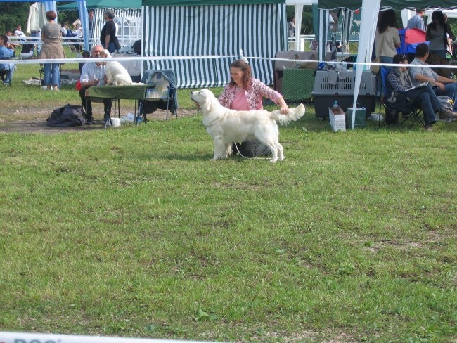 CAC Trbovlje 06 - foto povečava