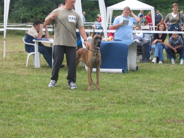 CAC Trbovlje 06 - foto