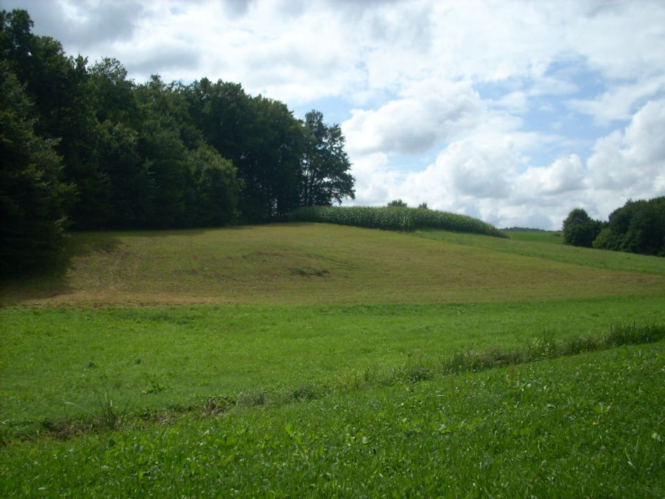 Narava - foto povečava