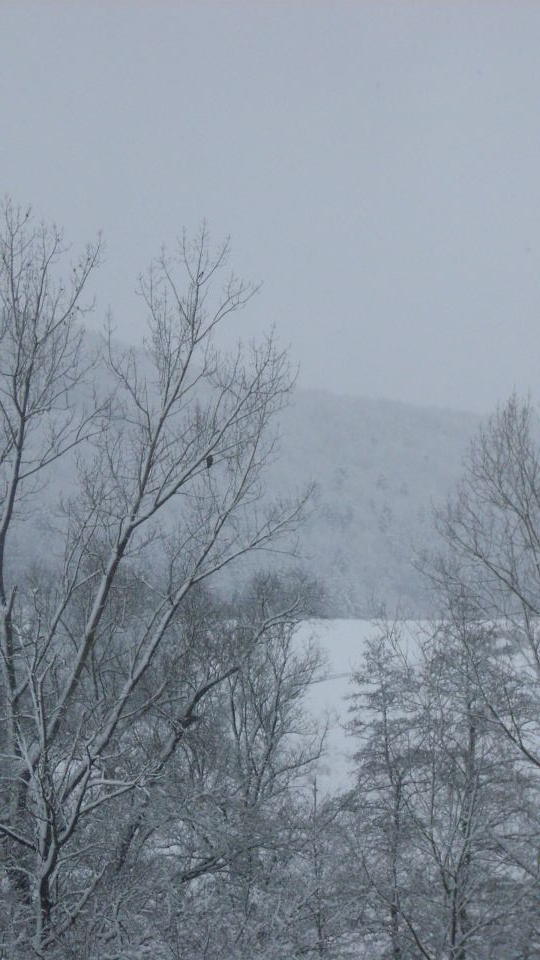 Narava - foto povečava