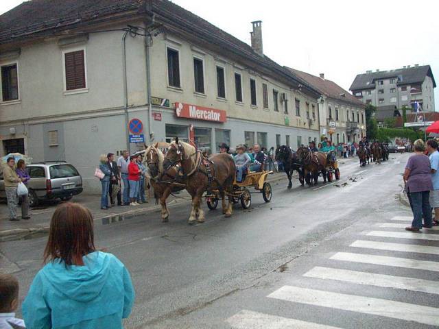 Trebanjski koš 2009 - foto povečava