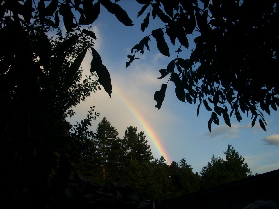 Podgorska narava - foto povečava