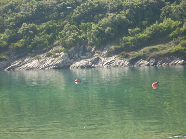 Lošinj 2010 - foto