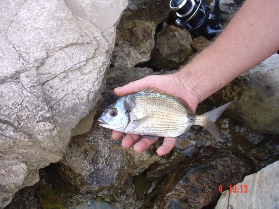 DALMACIJA 2008 - foto povečava