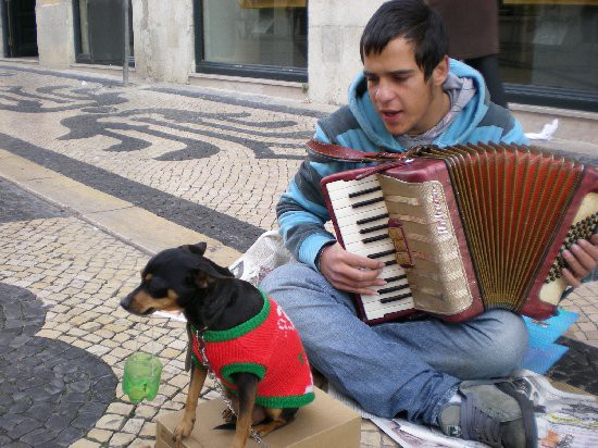 Božično križarjenje - foto povečava