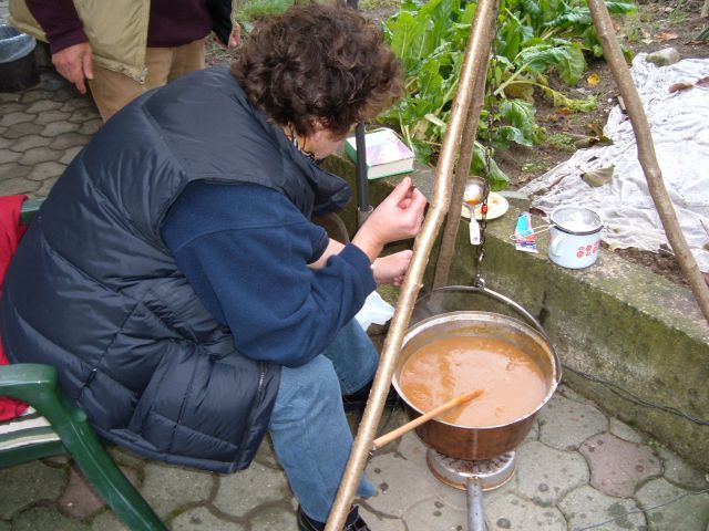 Ljubljanski Maraton 2011  - foto