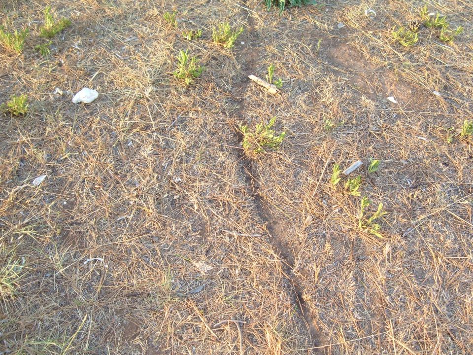 Do Dalmacije 12 - foto povečava