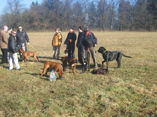 ZAJČJA 22.1.2005 - foto povečava