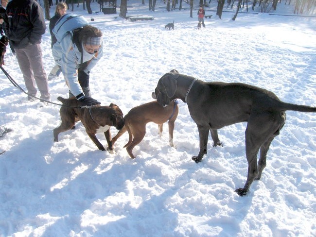 OTOČEC JANUAR 2005 - foto povečava