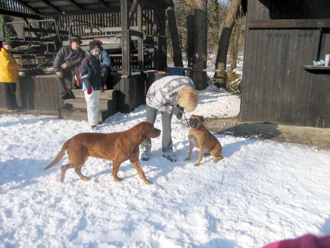 OTOČEC JANUAR 2005 - foto povečava