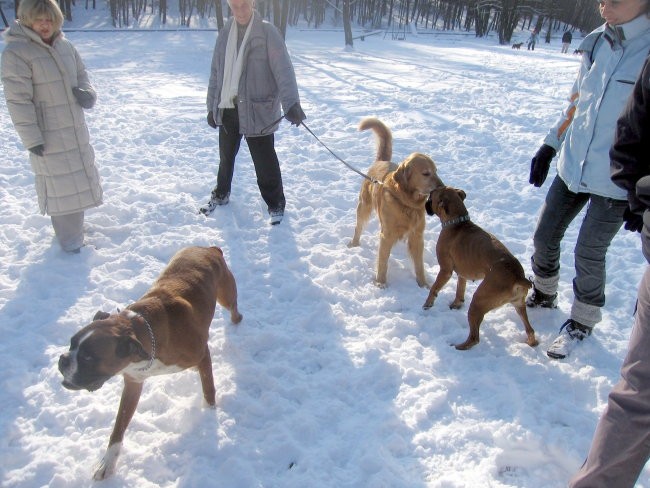 OTOČEC JANUAR 2005 - foto povečava