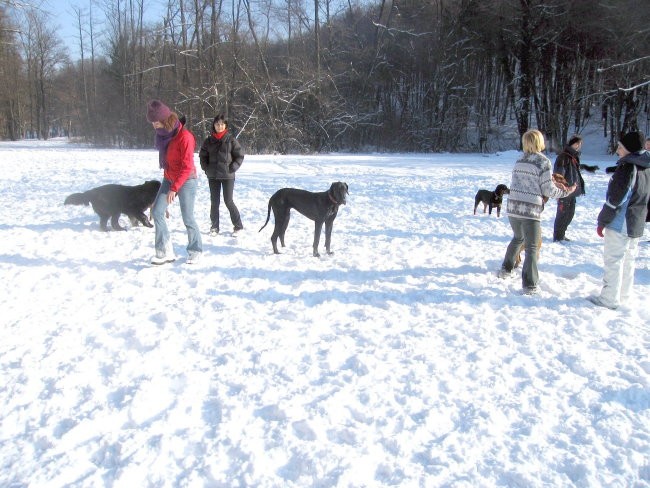 OTOČEC JANUAR 2005 - foto povečava