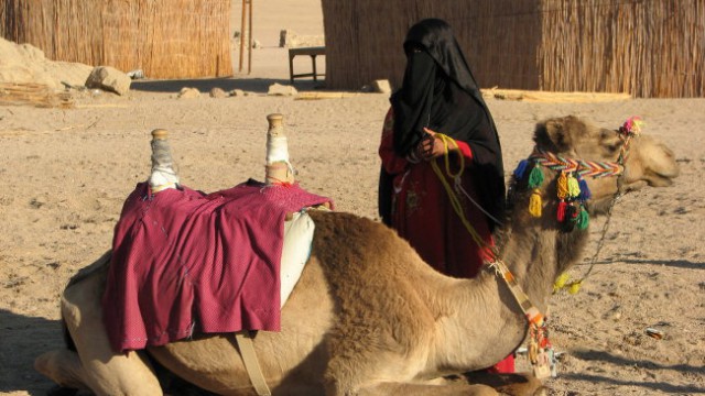 Kamela in beduinka