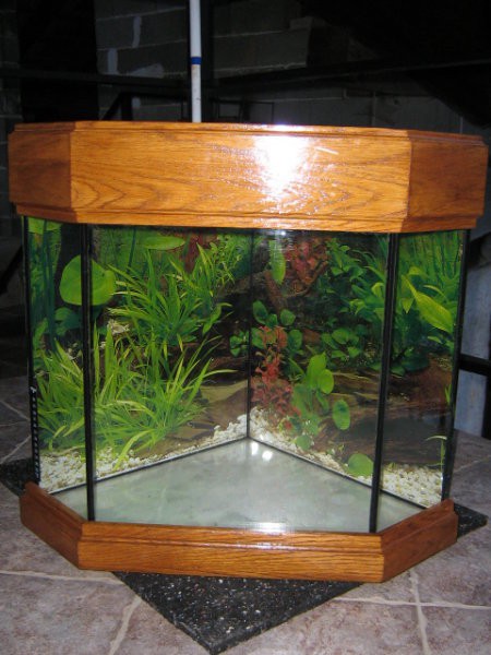 Razno - foto povečava