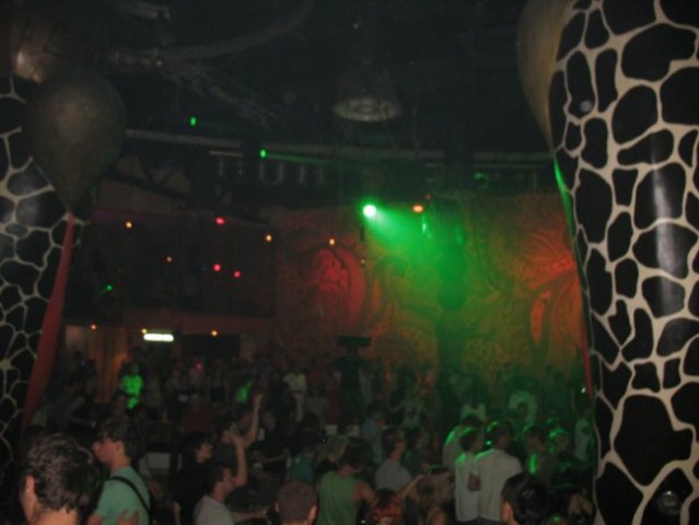2008-07-19 - Ambasada Gavioli - Summer Gather - foto