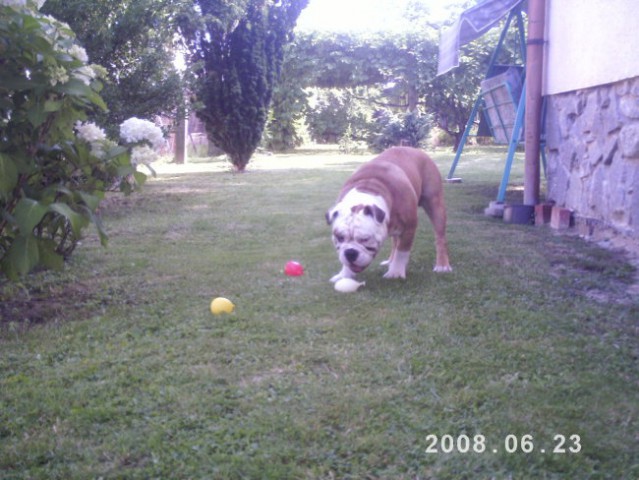 Balu z vodinmi balončki - foto