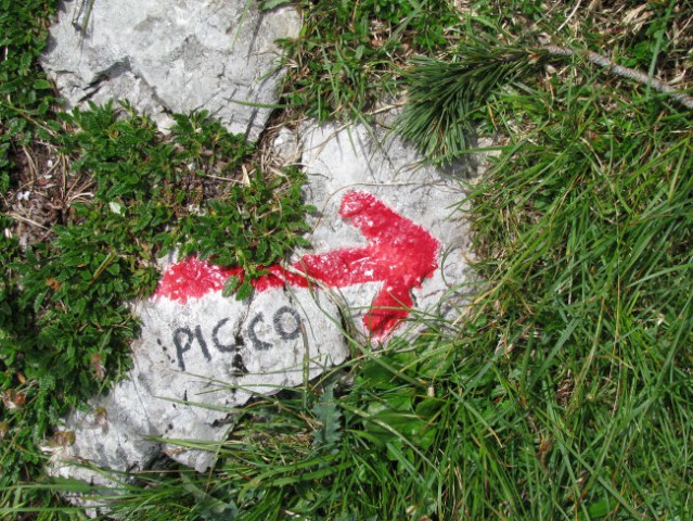 Pico di Mezzodi-24.juli 2008 - foto