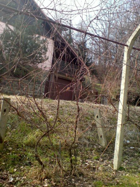 Brajda - foto povečava