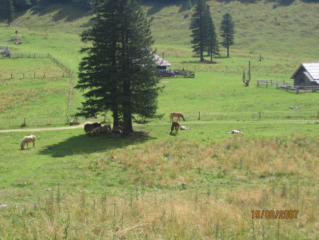 Počivališče na Planini Dol