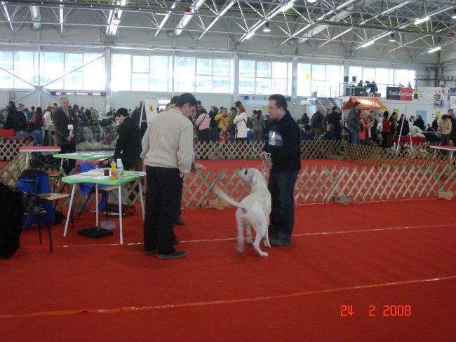 CAC CELJE 2008 - foto povečava