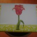 Škatla-tulipan