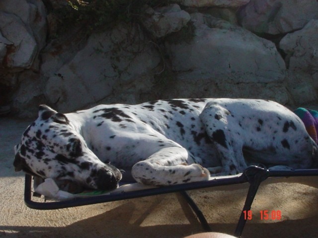 obožujem ležanje na plaži