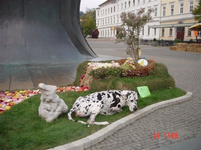 šentilj 2008 - foto