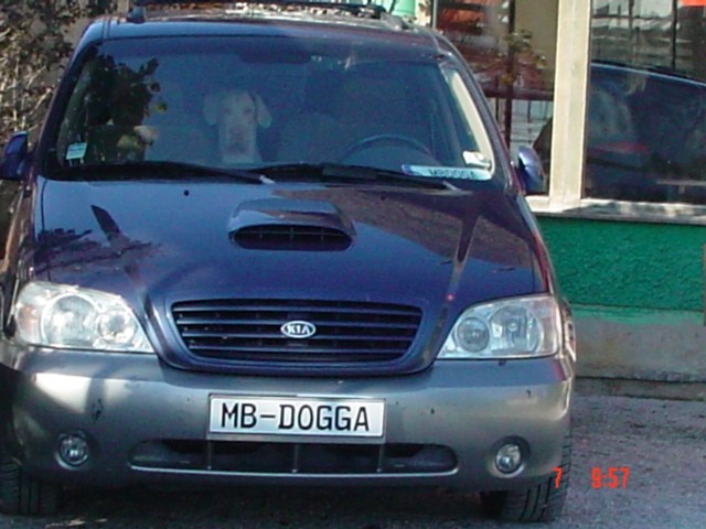 Zlata doga 2006 - foto povečava