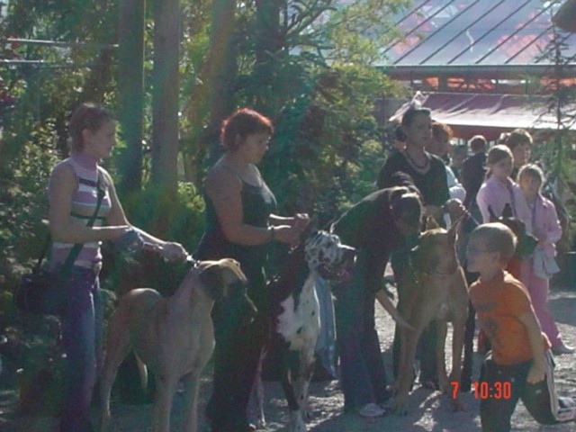Zlata doga 2006 - foto povečava
