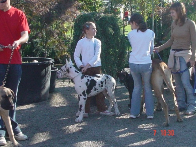 Zlata doga 2006 - foto povečava