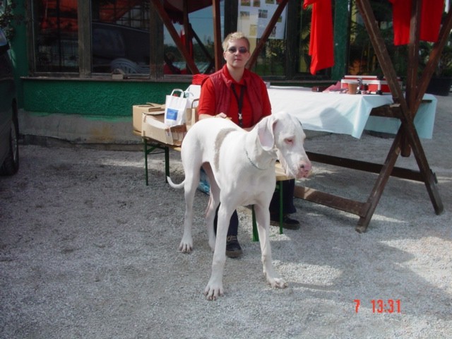 Zlata doga 2006 - foto povečava