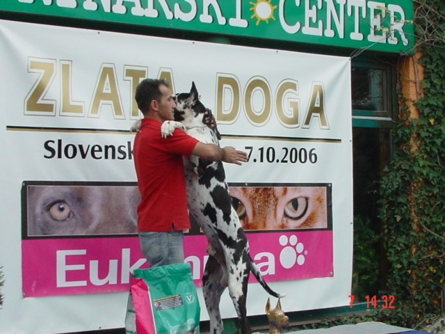 Zlata doga 2006 - foto povečava