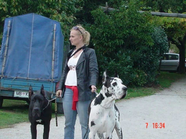 Zlata doga 2006 - foto povečava